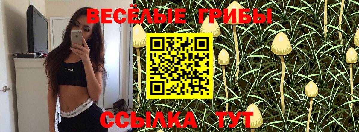 Псилоцибиновые грибы мухоморы Чернушка
